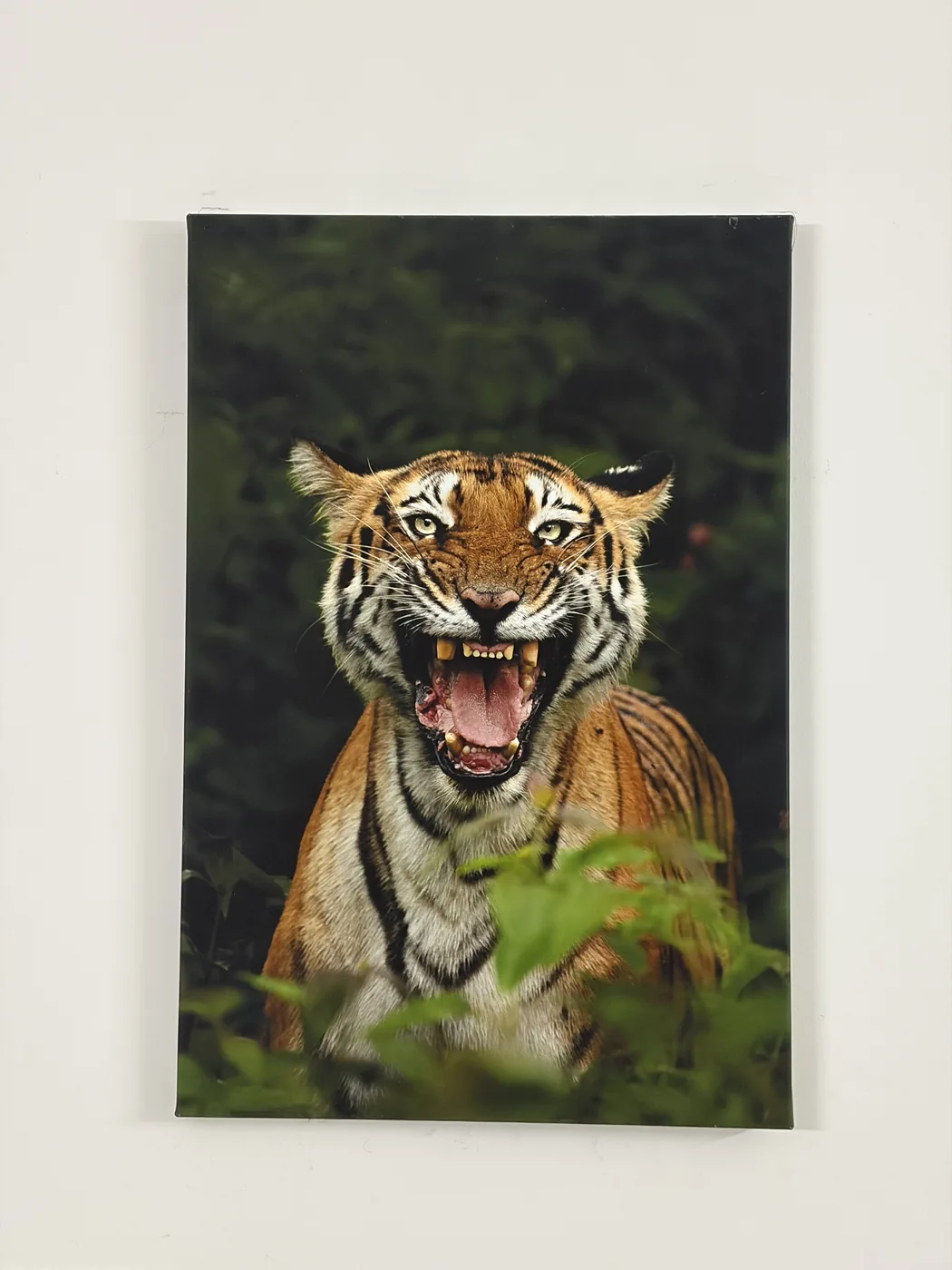 The Warning &mdash; 24 &times; 36 in Hahnem&uuml;hle Daguerre canvas, gallery-wrapped, hanging on a wall